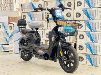 Электроскутер двухместный с педалями (электровелосипед) Davi 16R (600w 48v 12Ah) 2024