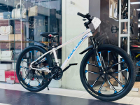 Велосипед на литых дисках DULUN 26DL 305 26" (рост 140-175 см)