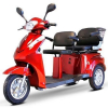Трехколесный двухместный электроскутер (трицикл)  E-toro Trike Double Passenger (800w 48v20Ah)