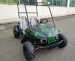 Электро багги для подростков и взрослых GreenCamel Намиб T009 (60v 20Ah 1500w R7)