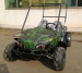 Электро багги для подростков и взрослых GreenCamel Намиб T009 (60v 20Ah 1500w R7)