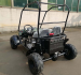 Электро багги для подростков и взрослых GreenCamel Намиб T009 (60v 20Ah 1500w R7)