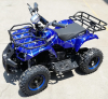 Электроквадроцикл детский GreenCamel Gobi K31 (36V 800W R6 цепной привод)