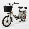 Электровелосипед GreenCamel Trunk-18 v2 (R18 250w 48v 10Aч)