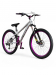 Велосипед горный трюковый Modrich Dirt Street 26" (рост 145-175 см)