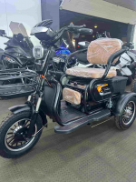 Трехколесный электроскутер (трицикл) Муравей трансформер (16R 1000w Li-ion 48v 25Ah)