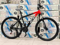 Велосипед горный Sky Way 29R M-005 (рост 170-185 см)