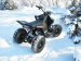 Детский электроквадроцикл SkyBoard CyberTruck Sochi Kids 800w