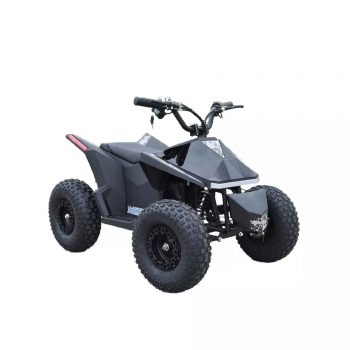 Детский электроквадроцикл SkyBoard CyberTruck Sochi Kids 800w