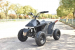 Детский электроквадроцикл SkyBoard CyberTruck Sochi Kids 800w