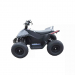 Детский электроквадроцикл SkyBoard CyberTruck Sochi Kids 800w