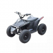 Детский электроквадроцикл SkyBoard CyberTruck Sochi Kids 800w