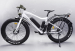 Электро фэтбайк полноприводный E-motions' FAT 26 Double 2 1000w 48v  (1000w 48V, 10Ah)